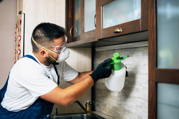 Best Flea Control Services  in Lincroft, NJ