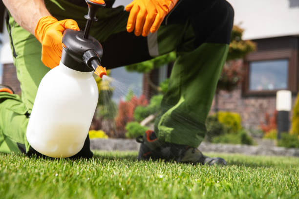 Best Pest Prevention Services  in Lincroft, NJ