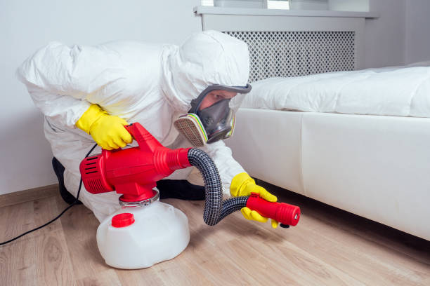 Best Pest Control for Homes  in Lincroft, NJ