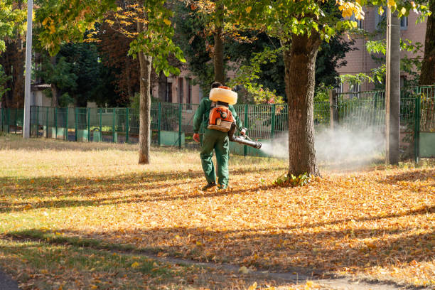 Best Affordable Pest Control Services  in Lincroft, NJ