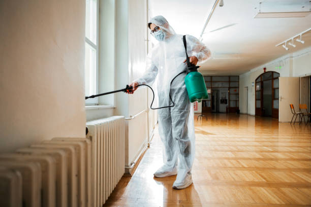 Best Wasp Removal Services  in Lincroft, NJ