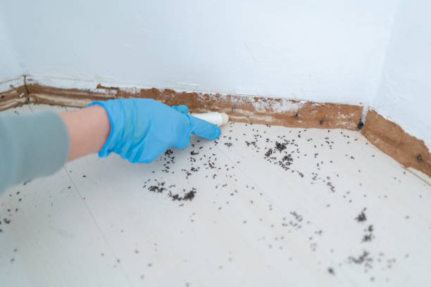 Best Cockroach Control Services  in Lincroft, NJ