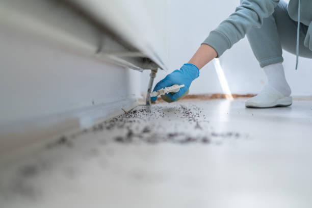 Best Emergency Pest Control  in Lincroft, NJ