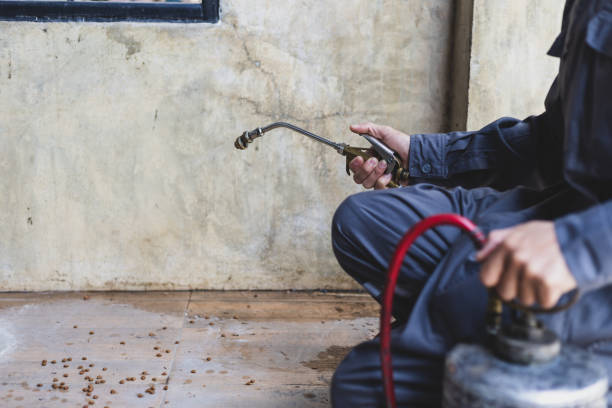Best Local Pest Control Services  in Lincroft, NJ