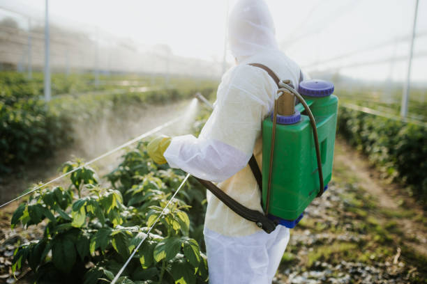 Best Mosquito Control Services  in Lincroft, NJ